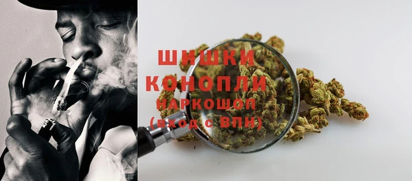 гидропоника Богданович