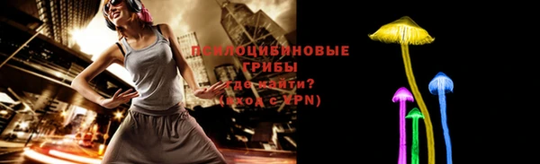 бутират Богородицк
