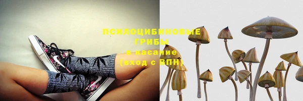 бутират Богородицк
