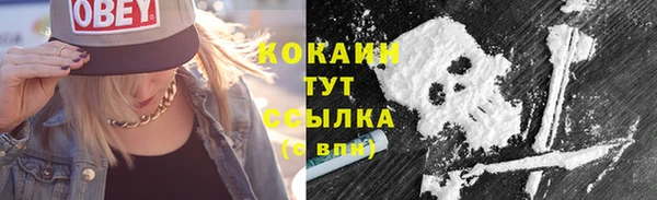 гидропоника Богданович