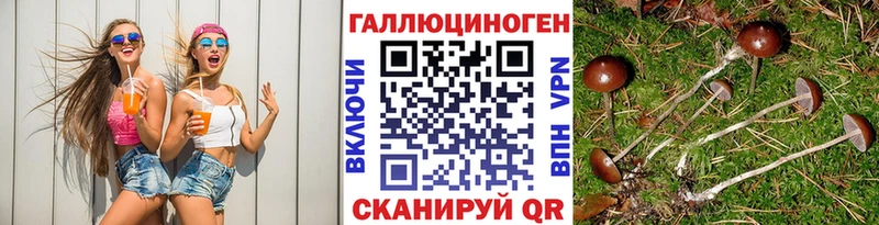 Галлюциногенные грибы Psilocybine cubensis  Верхний Тагил 